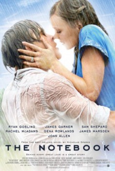 poster The Notebook
        &nbsp;&nbsp;(2004)
        